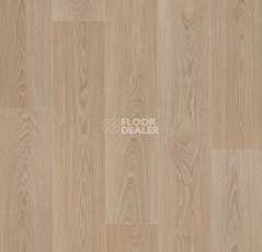 Линолеум Forbo Eternal Wood 13802 blond timber фото 1 | FLOORDEALER